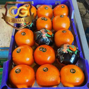 Buy fresh oranges