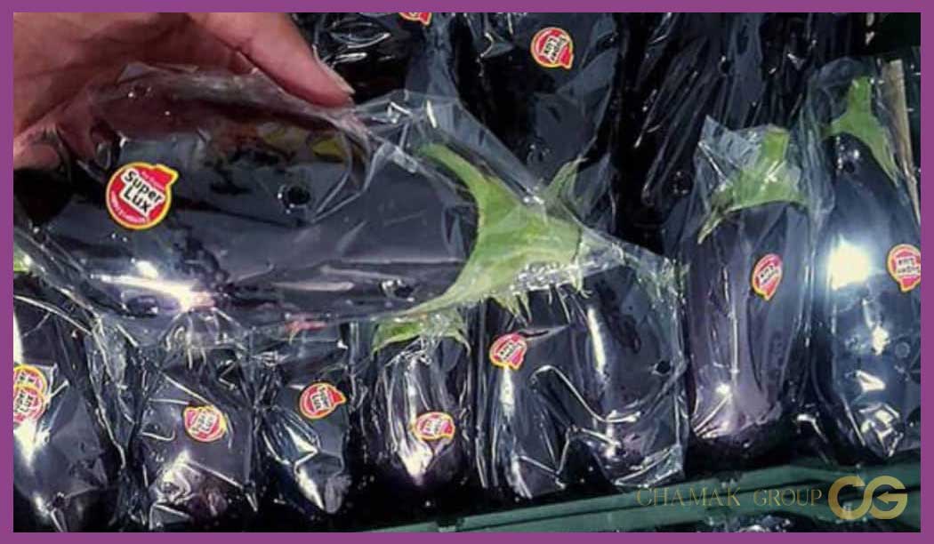 Eggplant export to China